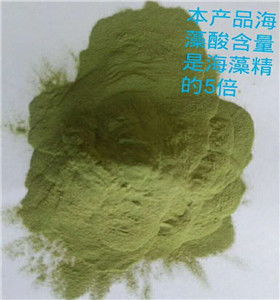 大丰肥料级海藻精售价,国产鱼粉